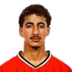 Ahmed Abdelrahim Helmy Abdelhamid