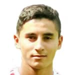 D. Aripov