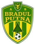 Bradul Putna