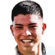 L. Gaona