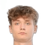D. Nikitin